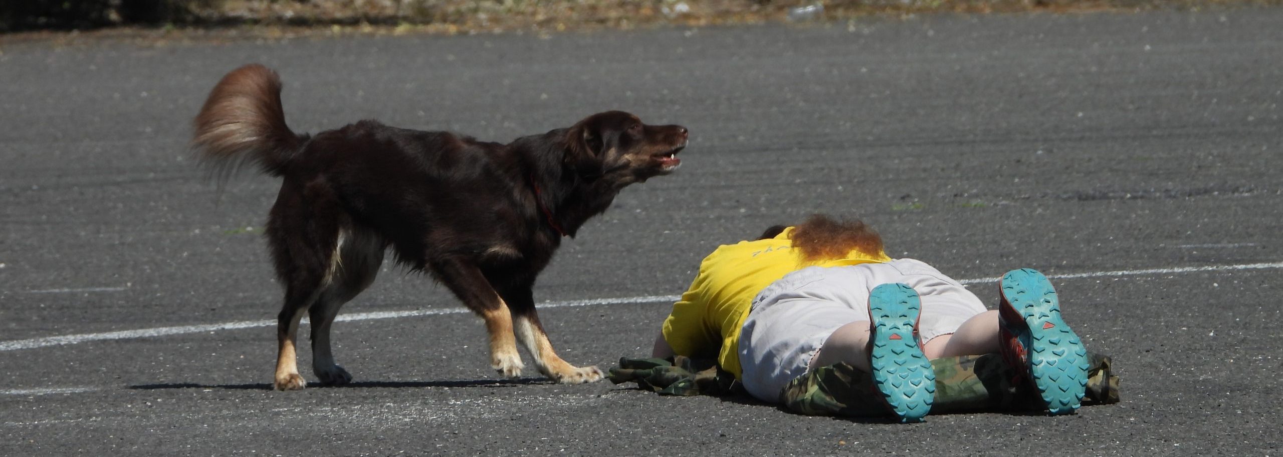 Katar&iacute;na Tarabov&aacute;